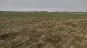 TYVFWKYSZZDHTINWEPUHOAWZI4