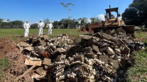 f848x477-1396643_1454446_5050