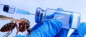 Dengue-vacuna-min-1000x425