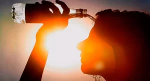 61dc29479c709__950x512