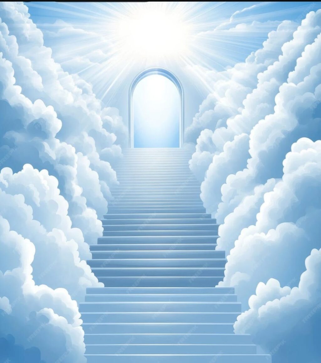 WhatsApp Image 2025-11-08 at 09.02.34