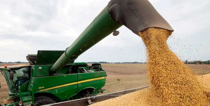 Los datos más importantes de la cosecha récord en Argentina