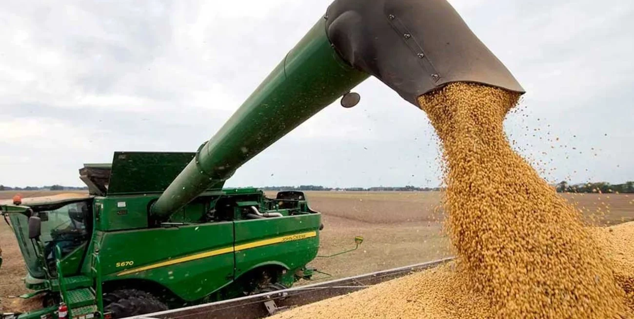Los datos más importantes de la cosecha récord en Argentina